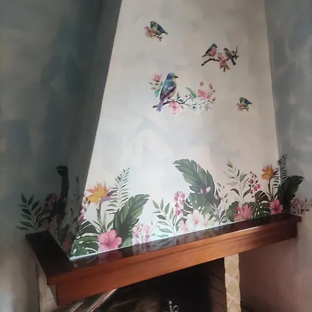 Appartement Casa Mia *